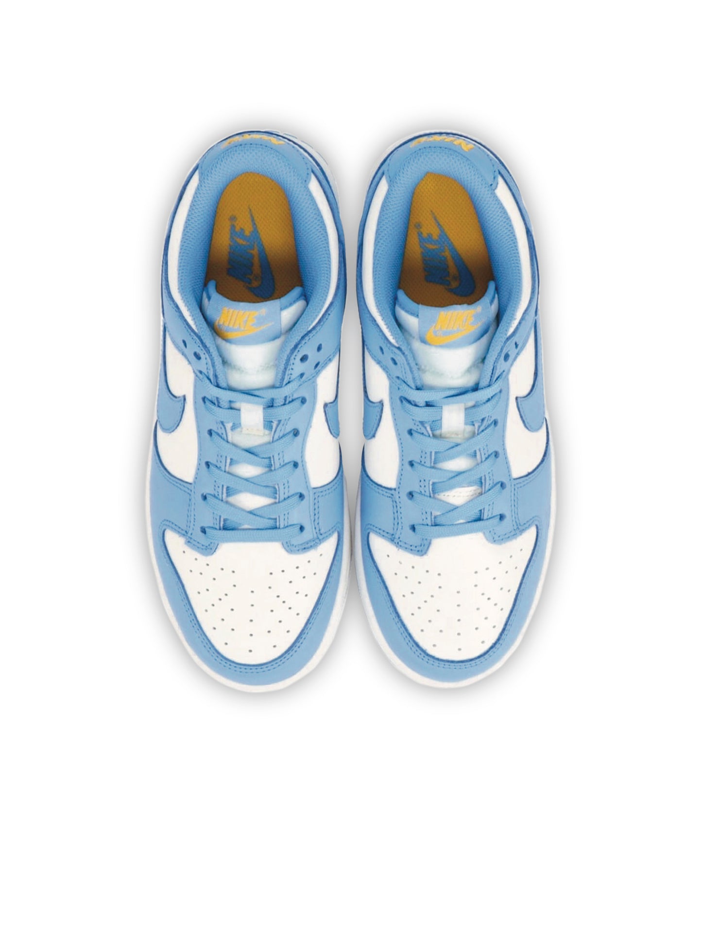 Nike Dunk Low Coast UNC DD1503-100