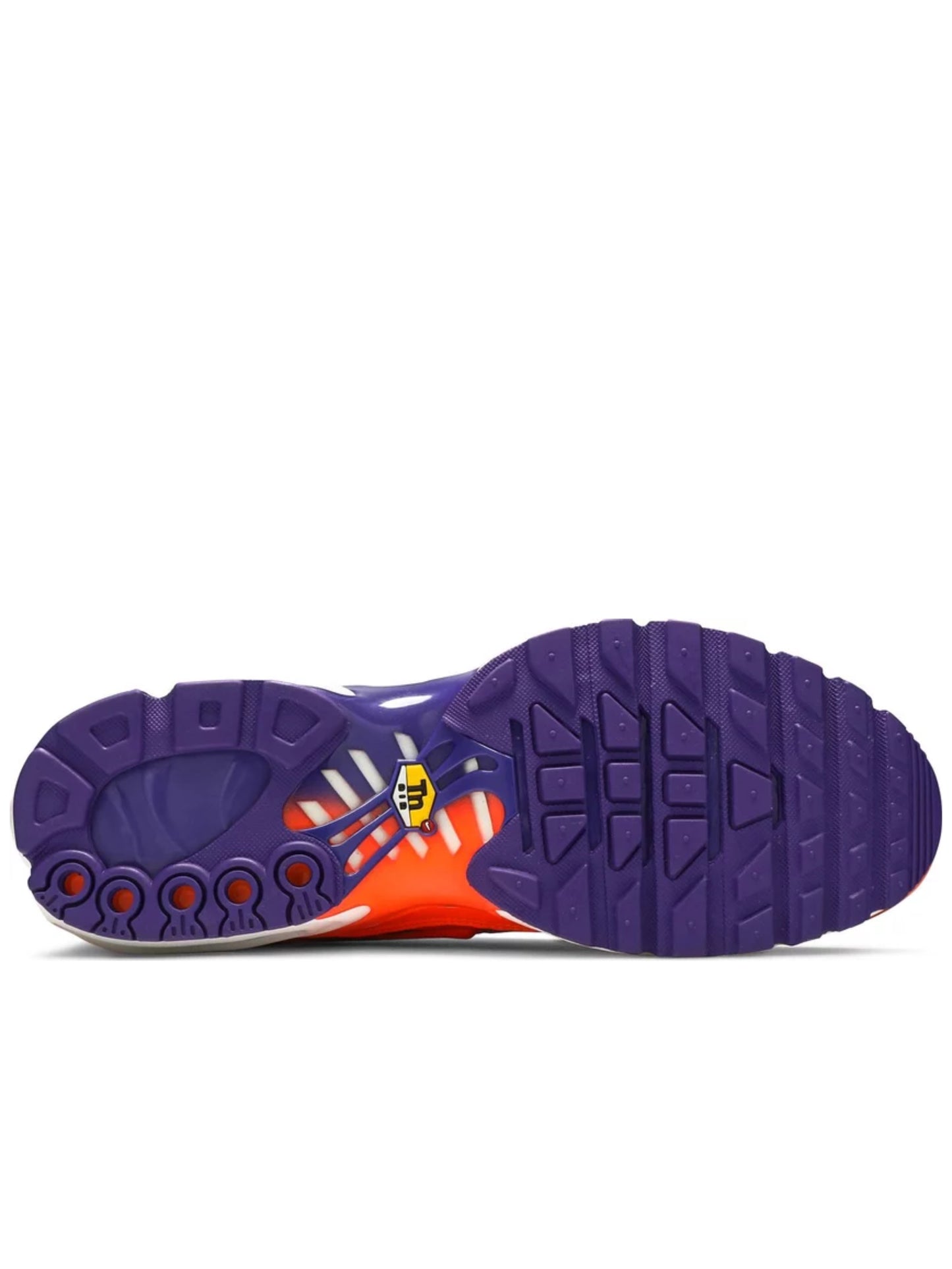 Nike Air Max Plus Color Flip Pack Black CI5924-061