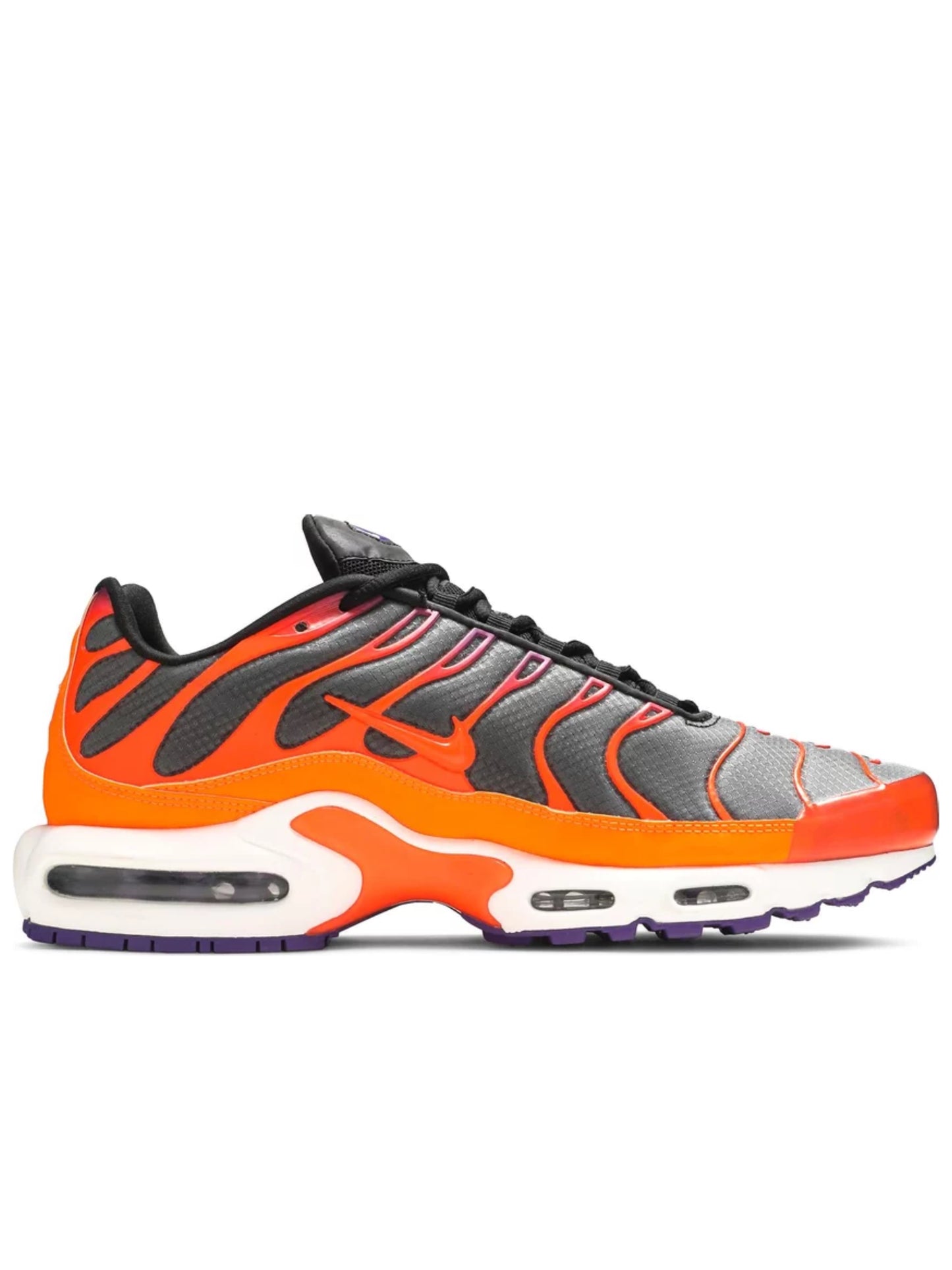 Nike Air Max Plus Color Flip Pack Black  CI5924-061