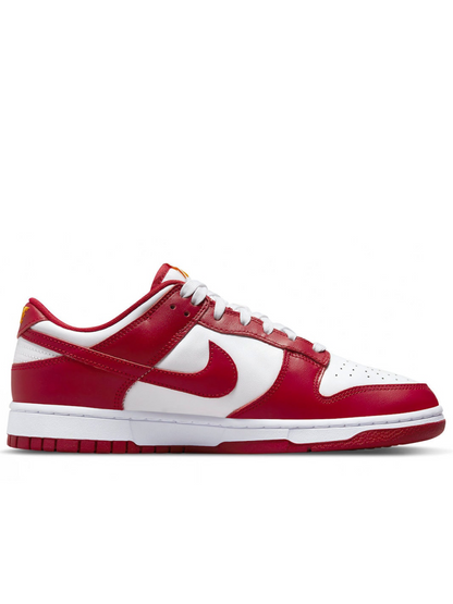 Nike Dunk Low USC DD1391-602